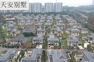 天安別墅